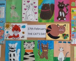 Światowy Dzień Kota 1