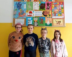 Światowy Dzień Kota 5